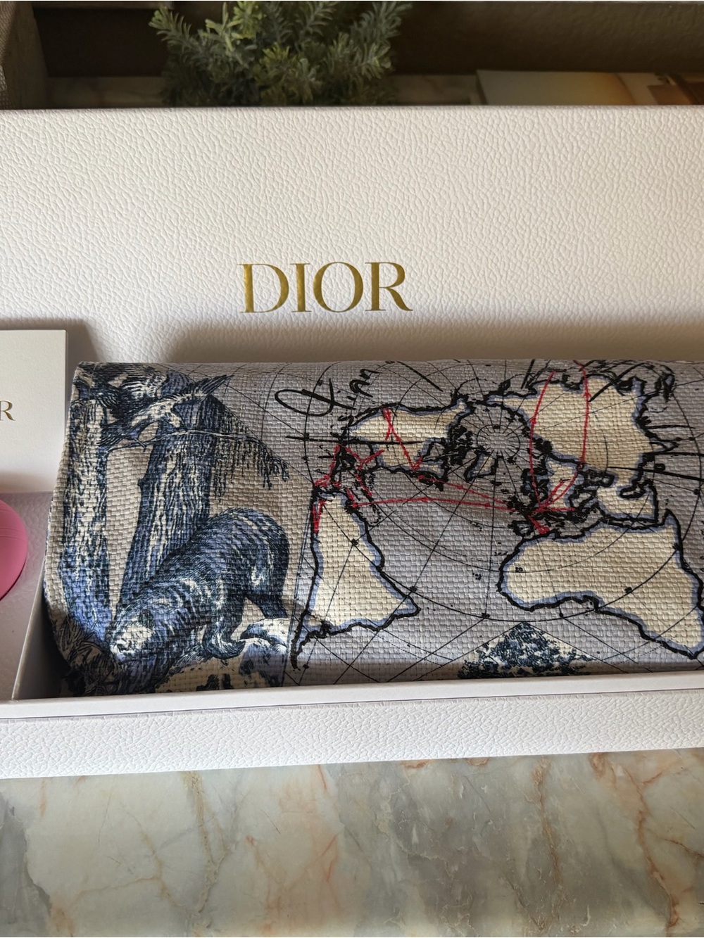 Dior Around The World Tote Bag - Picture 5 of 7